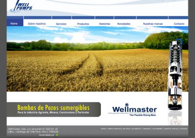 Desarrollo sitio web wellpumps